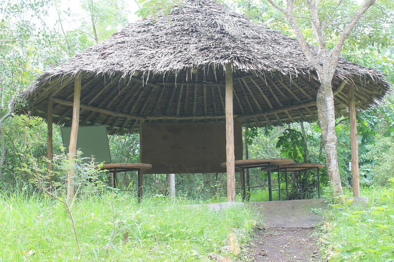 Shamba Hostel Usa River 외부 사진