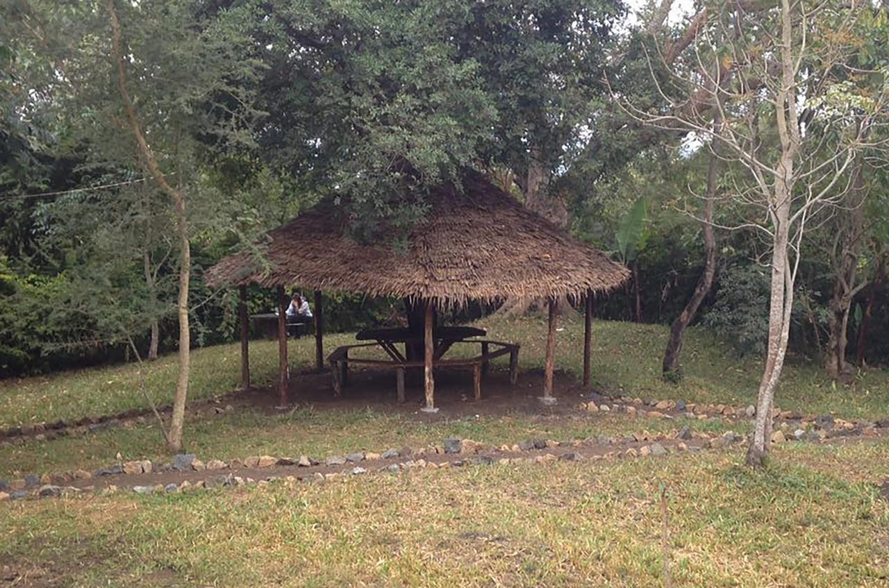 Shamba Hostel Usa River 외부 사진